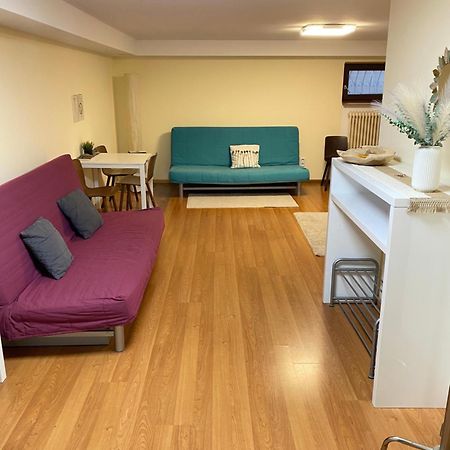 Ruhiges Privates Zimmer In Freiburg, Zentrumsnah, Naehe Europapark 외부 사진